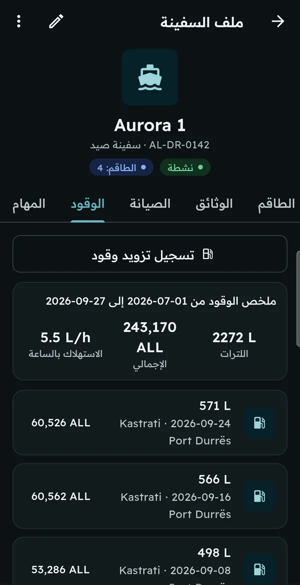 الوقود وملخص الاستهلاك